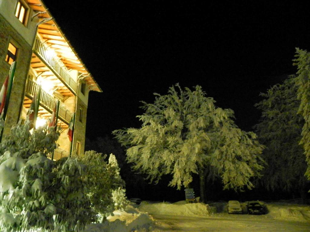 Le Macinaie - Monte Amiata Castel del Piano (Tuscany)