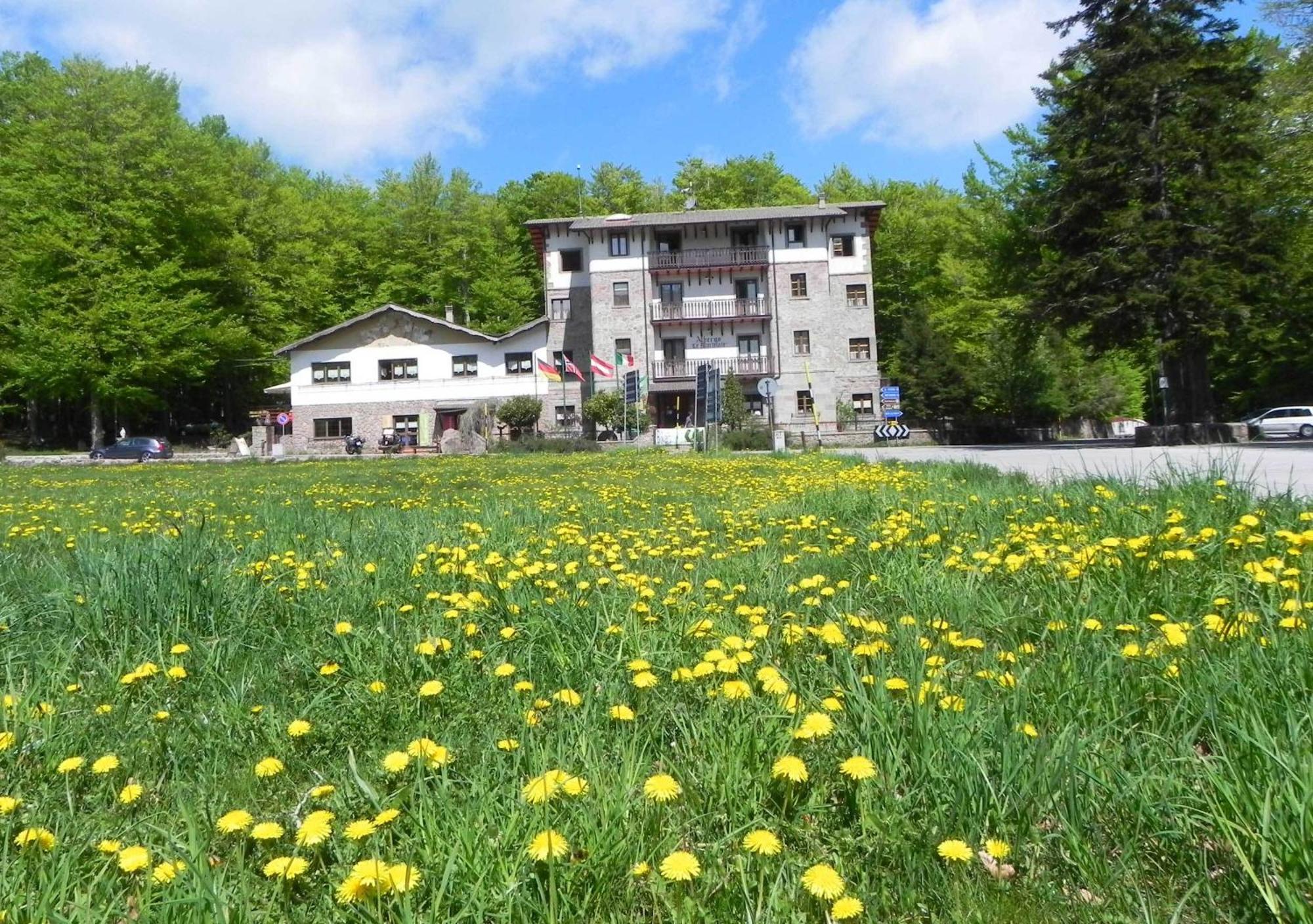 Hotel Le Macinaie - Monte Amiata Castel del Piano (Tuscany)