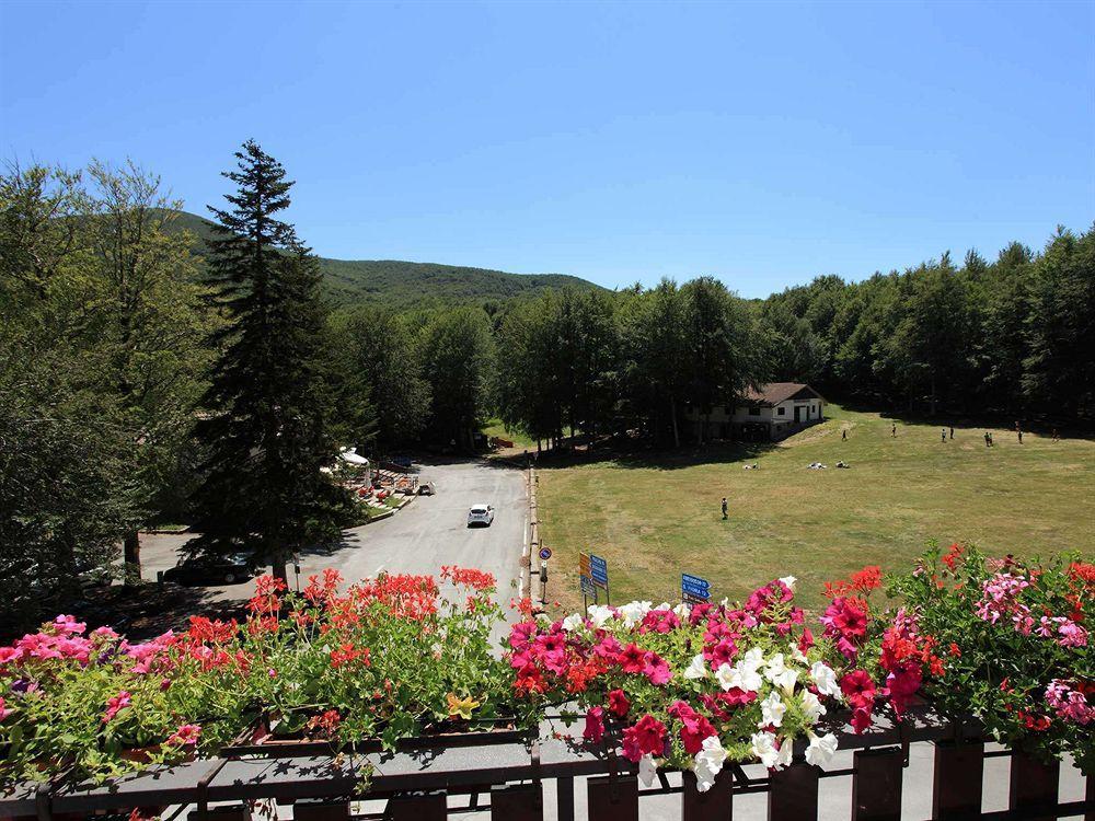 Le Macinaie - Monte Amiata