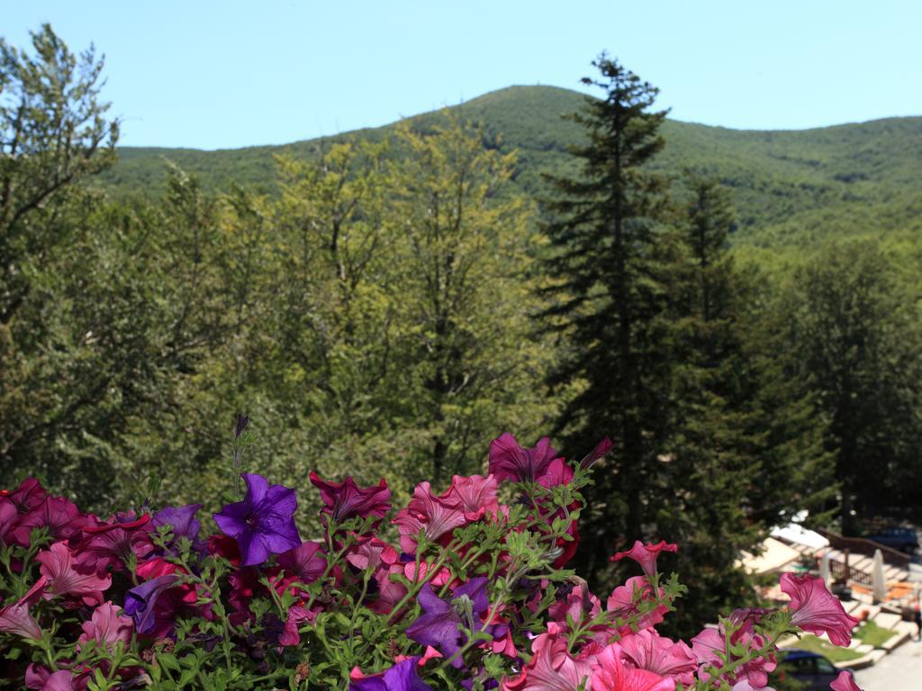 Le Macinaie - Monte Amiata