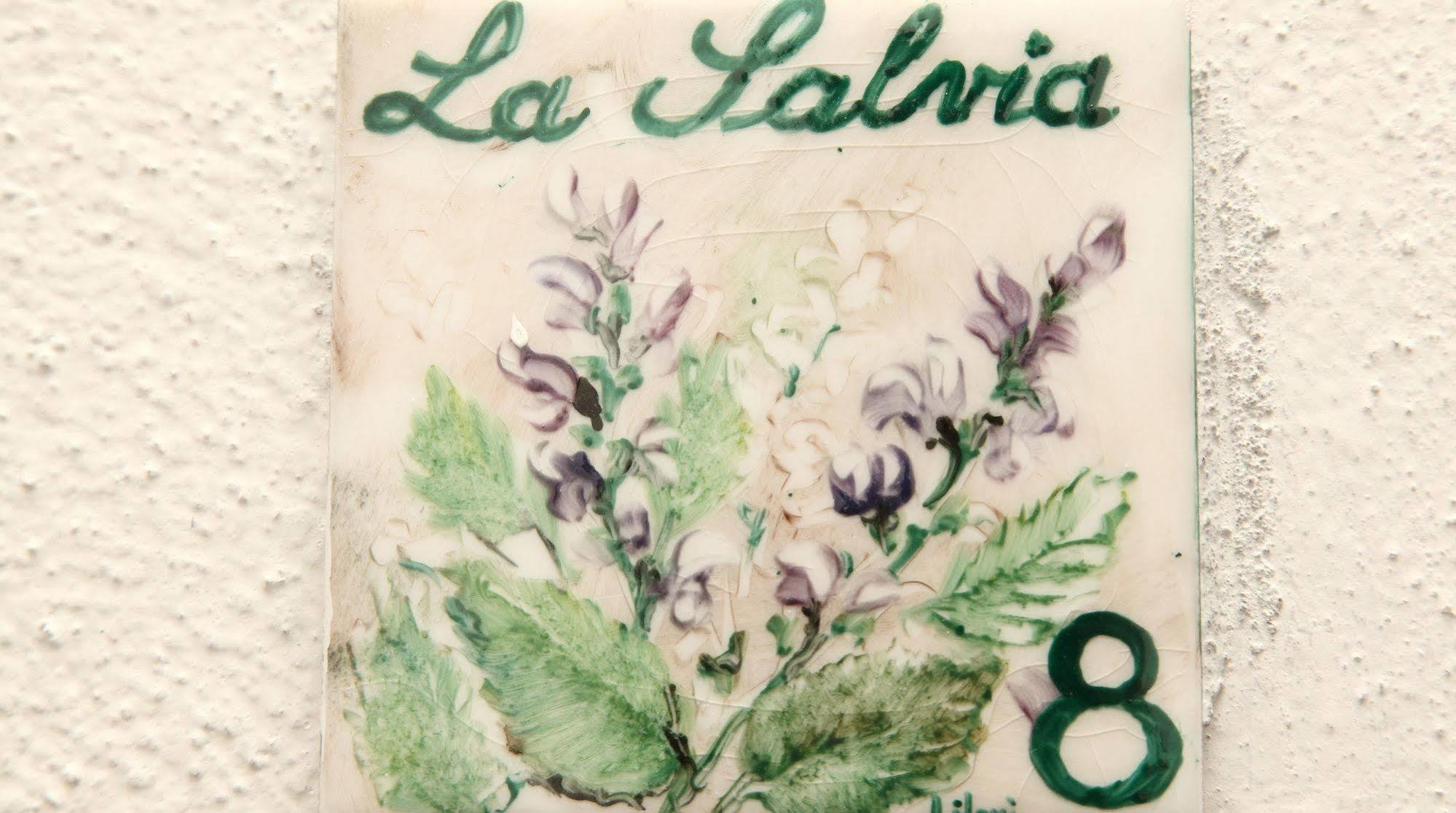 Le Macinaie - Monte Amiata
